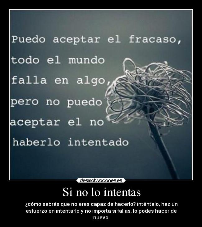 Si no lo intentas - ¿cómo sabrás que no eres capaz de hacerlo? inténtalo, haz un
esfuerzo en intentarlo y no importa si fallas, lo podes hacer de
nuevo.