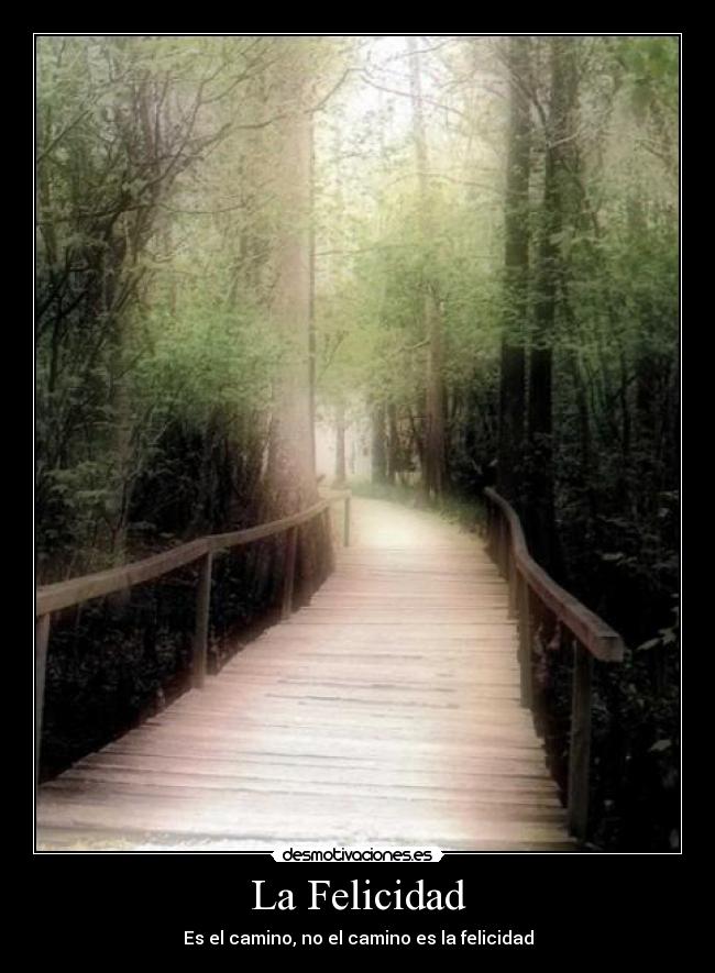 carteles felicidad felicidad desmotivaciones