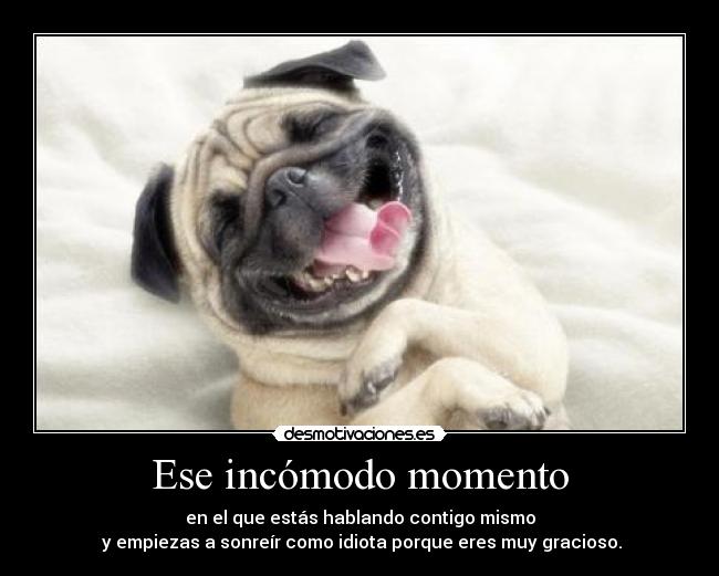Ese incómodo momento - en el que estás hablando contigo mismo
y empiezas a sonreír como idiota porque eres muy gracioso.