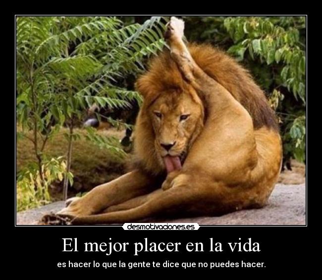 El mejor placer en la vida - es hacer lo que la gente te dice que no puedes hacer.
