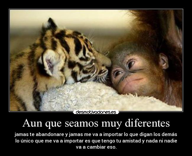 Aun que seamos muy diferentes - jamas te abandonare y jamas me va a importar lo que digan los demás
lo único que me va a importar es que tengo tu amistad y nada ni nadie
va a cambiar eso.