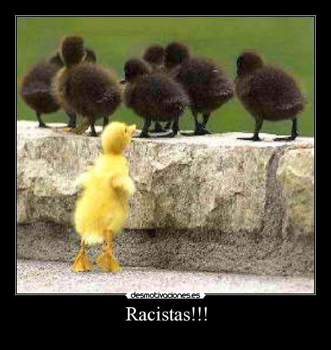 Racistas!!! -
