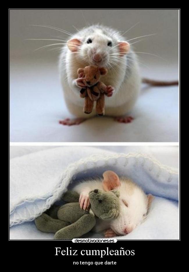 Feliz cumpleaños - no tengo que darte