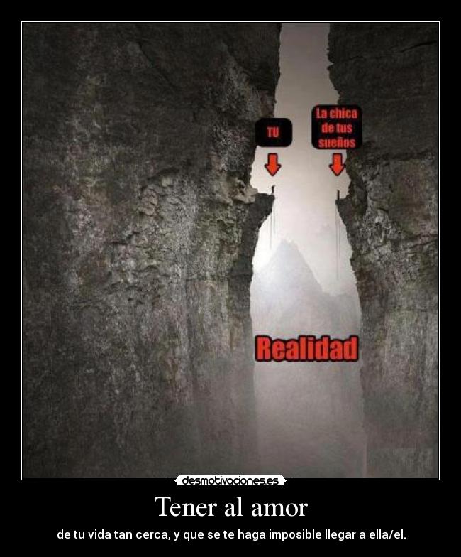 Tener al amor - 