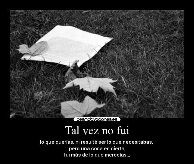 Tal vez no fui - lo que querías, ni resulté ser lo que necesitabas, 
pero una cosa es cierta,
fui más de lo que merecías...