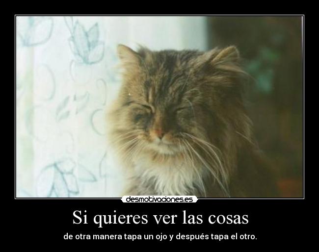 carteles blah desmotivaciones