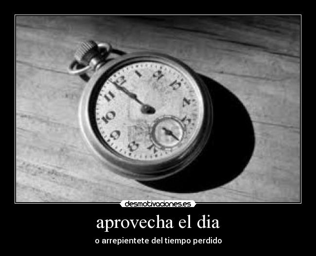 aprovecha el dia -