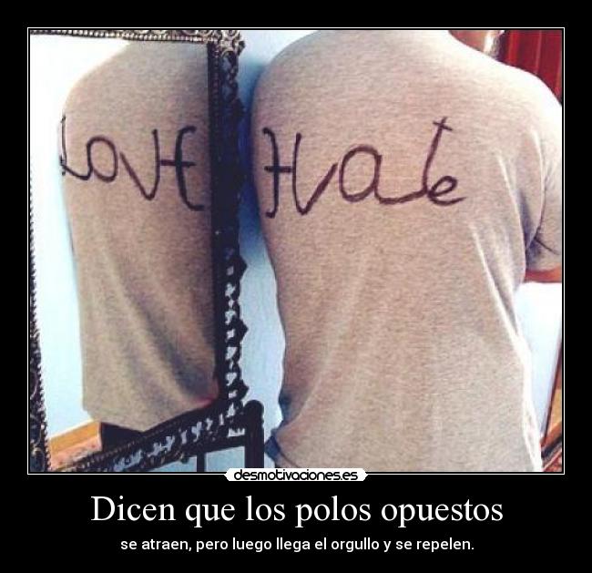 Dicen que los polos opuestos -