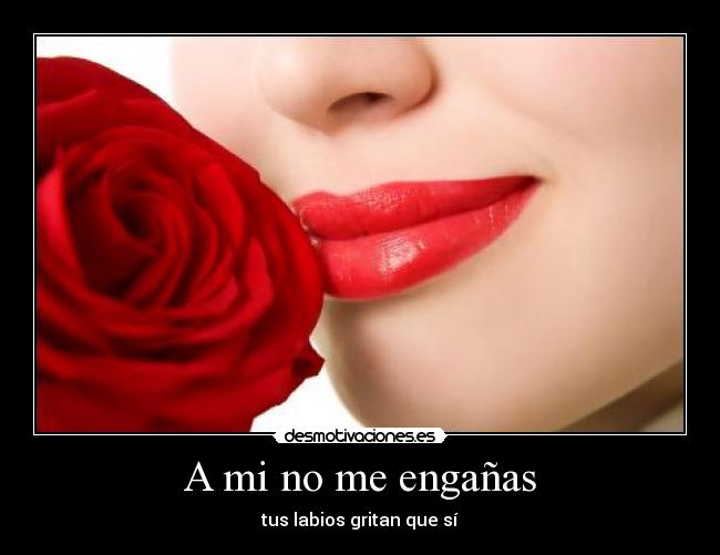 A mi no me engañas -