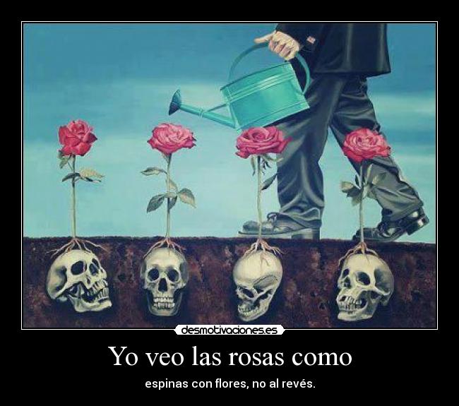 Yo veo las rosas como - espinas con flores, no al revés.