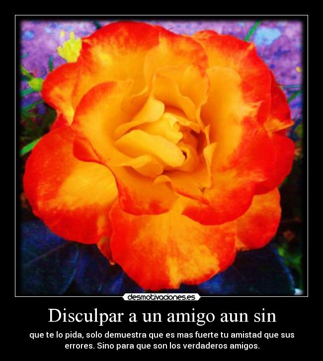 carteles verdadero amigo desmotivaciones