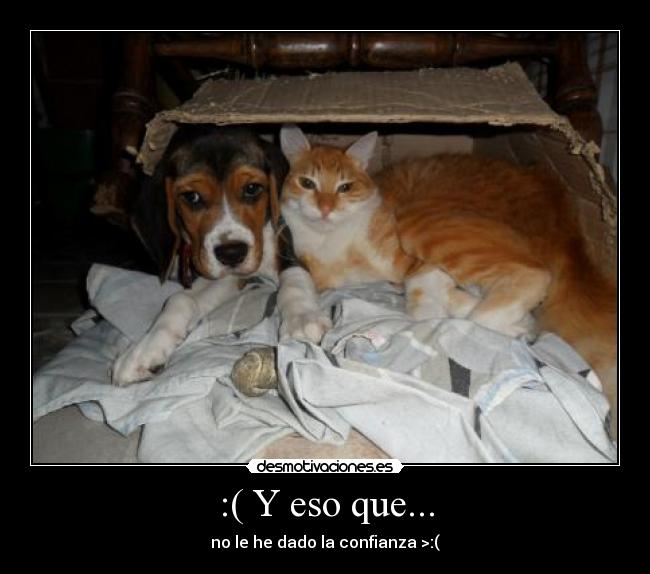 :( Y eso que... -
