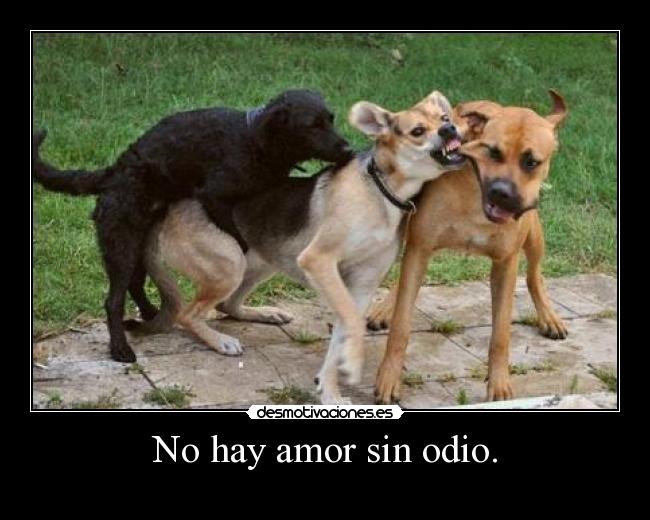 No hay amor sin odio. -