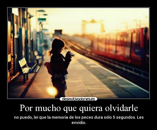 Por mucho que quiera olvidarle -