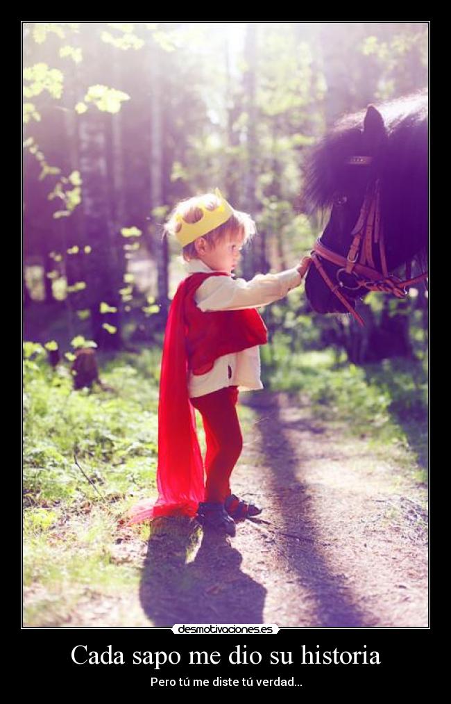 Cada sapo me dio su historia -