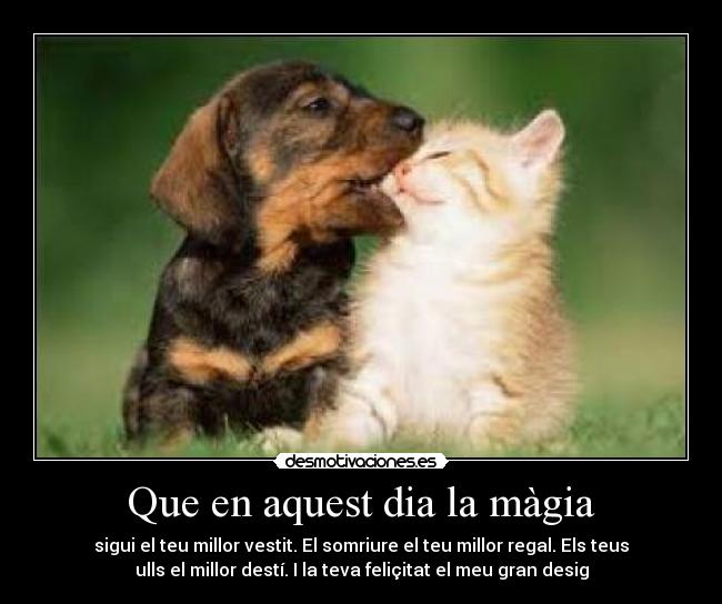 Que en aquest dia la màgia - sigui el teu millor vestit. El somriure el teu millor regal. Els teus
ulls el millor destí. I la teva feliçitat el meu gran desig