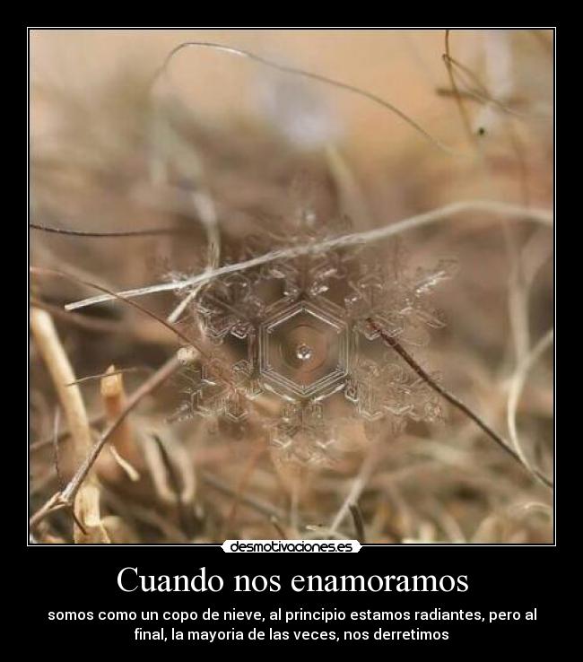 Cuando nos enamoramos - somos como un copo de nieve, al principio estamos radiantes, pero al
final, la mayoria de las veces, nos derretimos