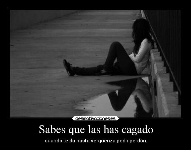 Sabes que las has cagado - 