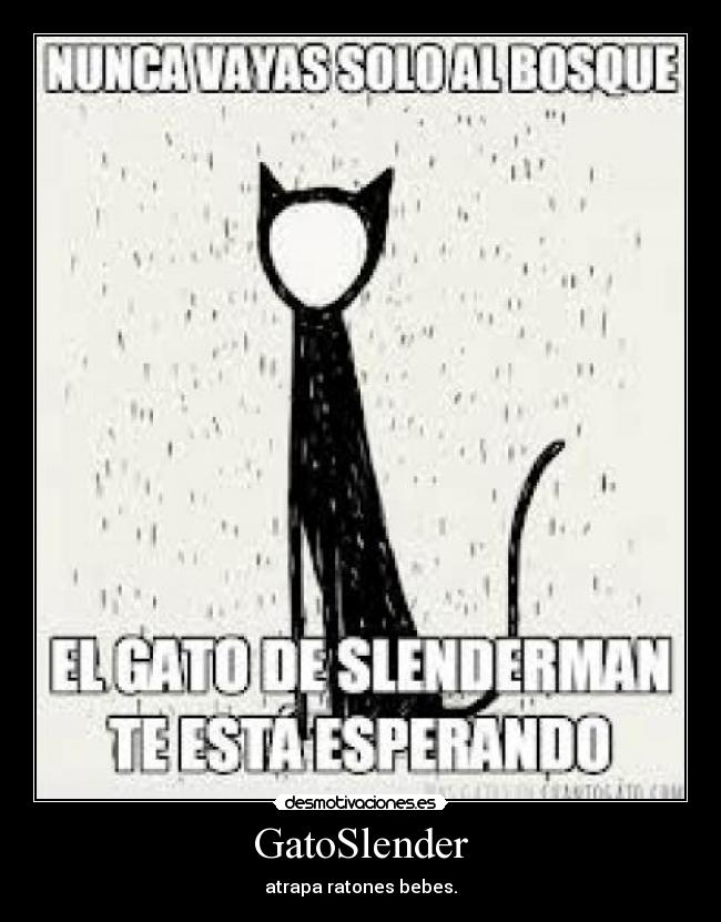 GatoSlender - atrapa ratones bebes.