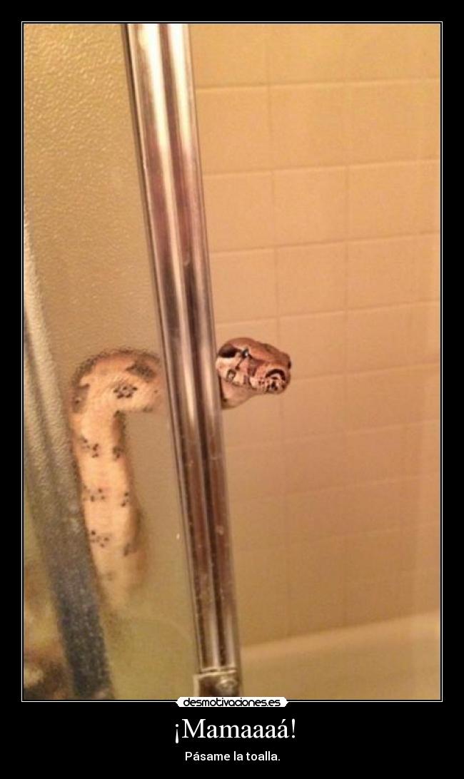 ¡Mamaaaá! - Pásame la toalla.