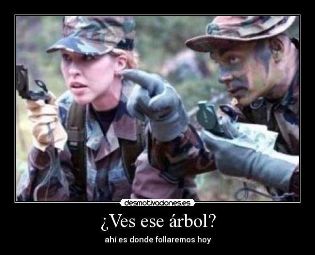 ¿Ves ese árbol? - 