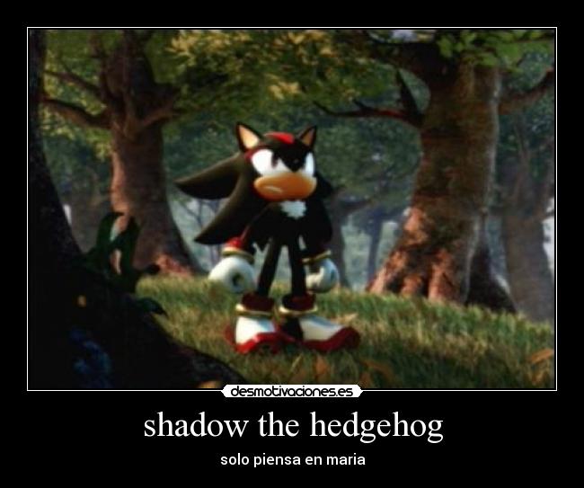 shadow the hedgehog -