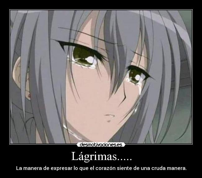Lágrimas..... -