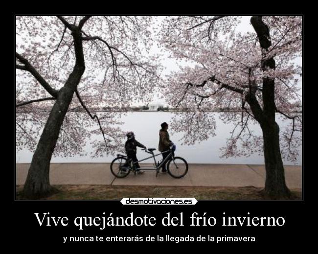 Vive quejándote del frío invierno -