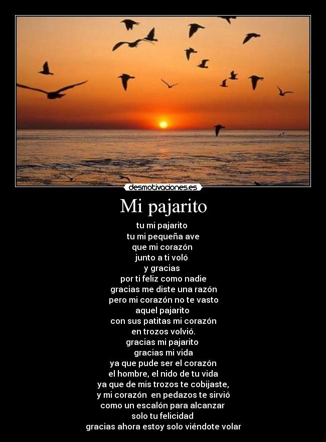 carteles angel101 pajarito vuela lejos desmotivaciones