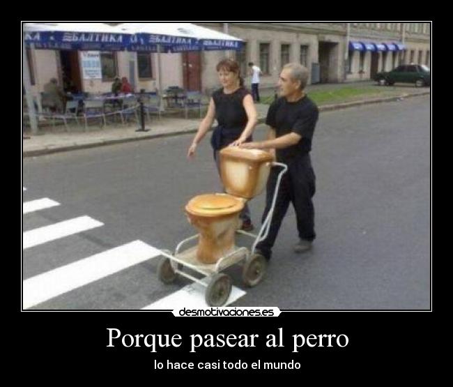 Porque pasear al perro - lo hace casi todo el mundo