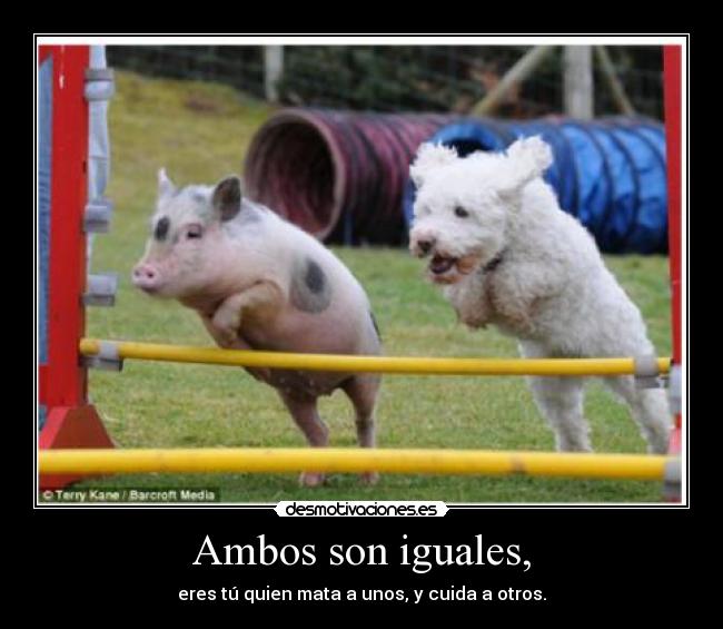 Ambos son iguales, -