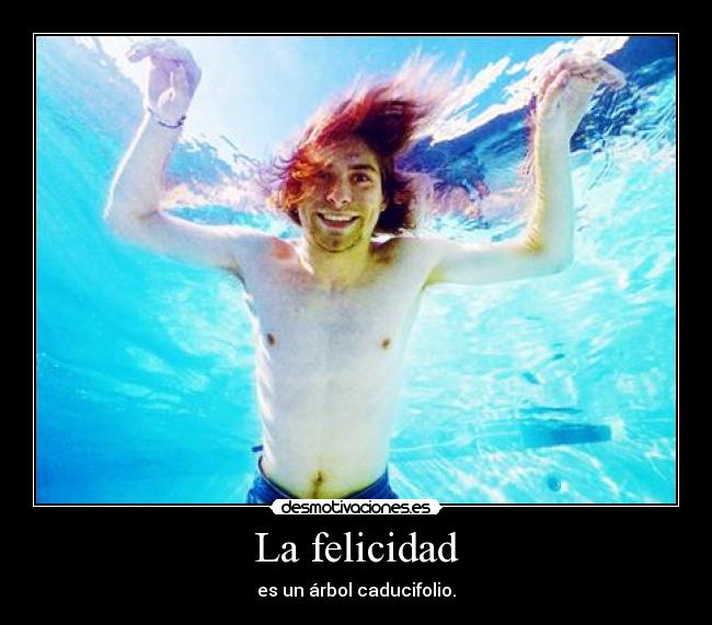 La felicidad - es un árbol caducifolio.