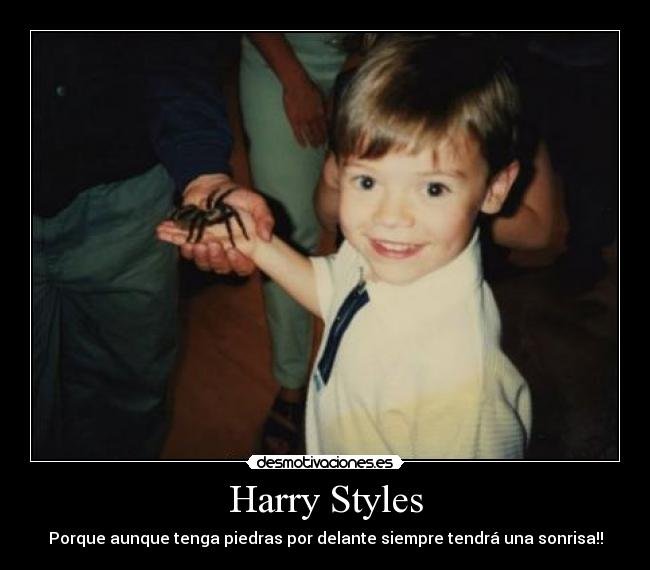 Harry Styles -