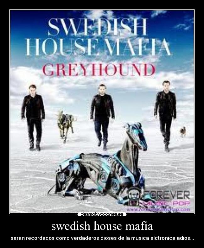 carteles swedishhousemafia desmotivaciones