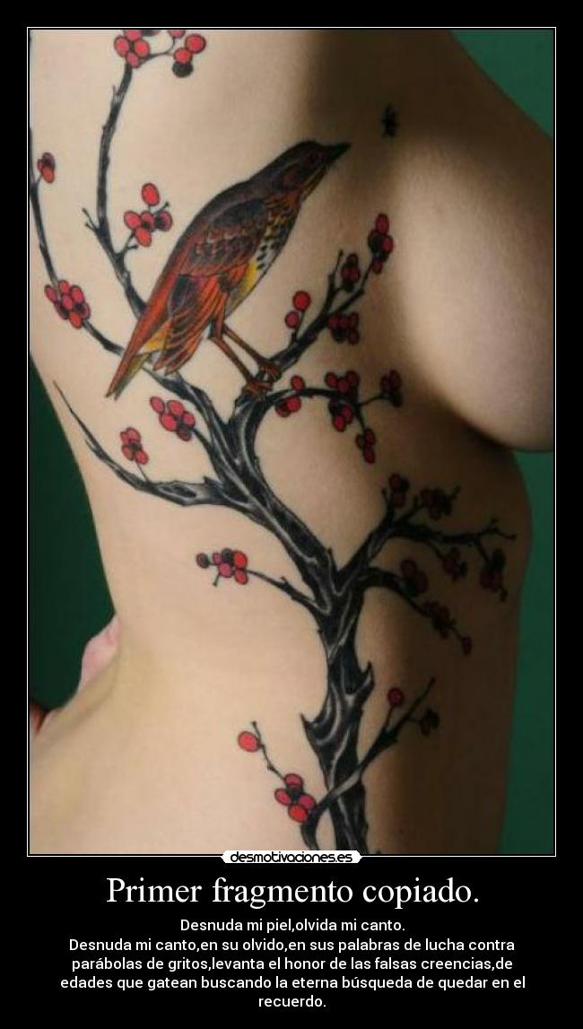 Primer fragmento copiado. -