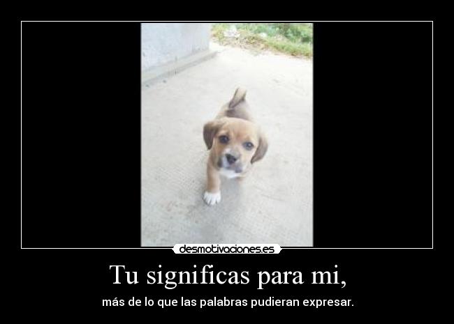 Tu significas para mi, - más de lo que las palabras pudieran expresar.