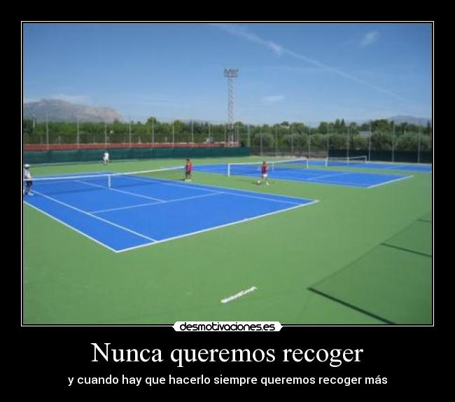 Nunca queremos recoger - 