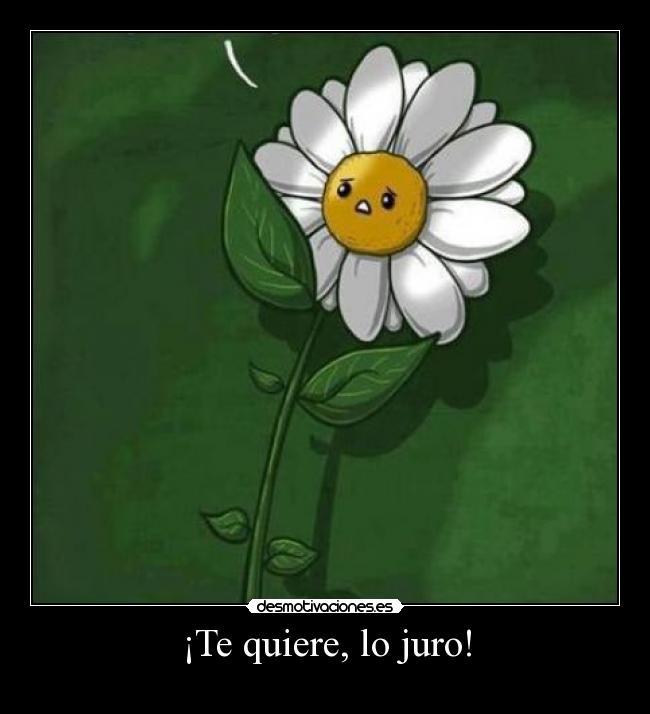 ¡Te quiere, lo juro! -