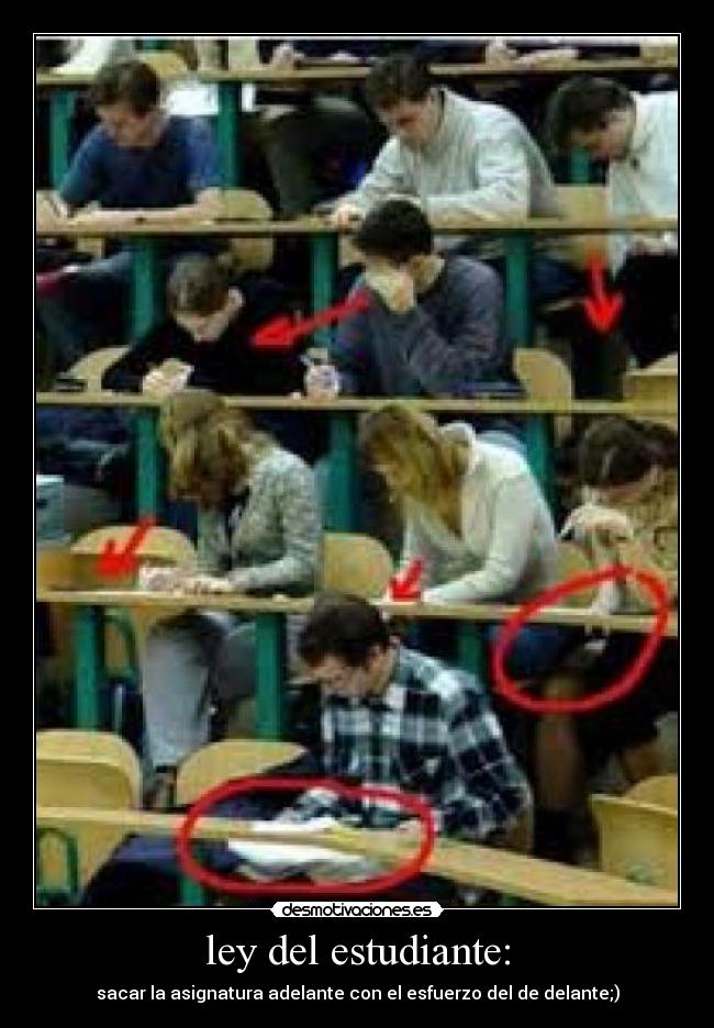 ley del estudiante: - 