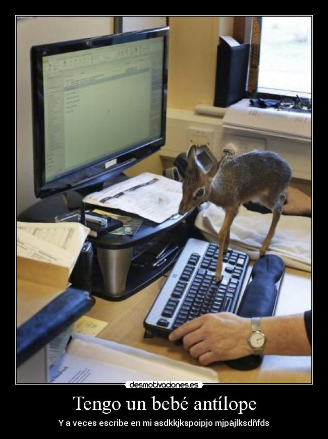 Tengo un bebé antílope -