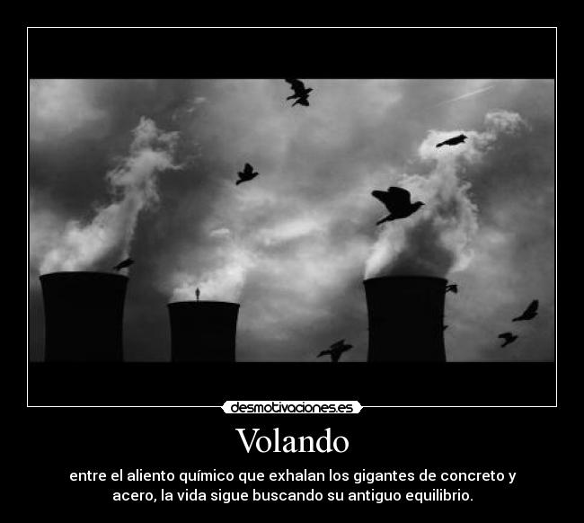 Volando - entre el aliento químico que exhalan los gigantes de concreto y
acero, la vida sigue buscando su antiguo equilibrio.