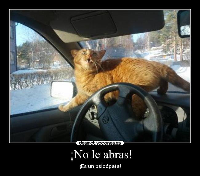 ¡No le abras! -
