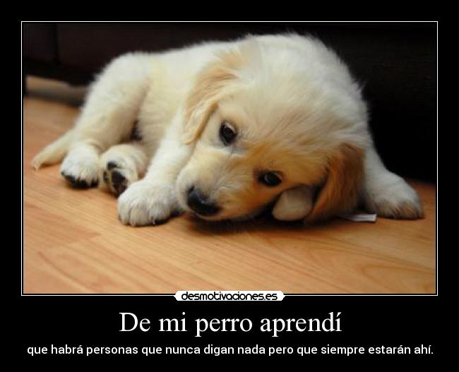 De mi perro aprendí - que habrá personas que nunca digan nada pero que siempre estarán ahí.