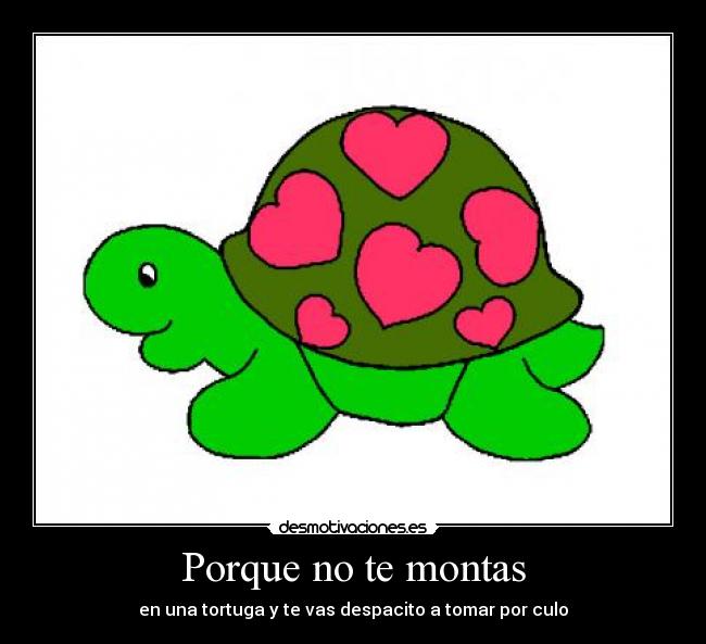 Porque no te montas - en una tortuga y te vas despacito a tomar por culo
