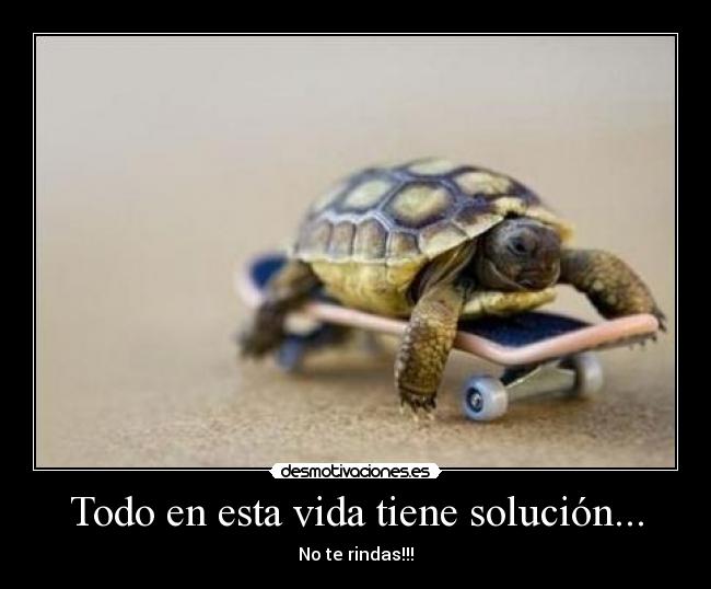 Todo en esta vida tiene solución... - 