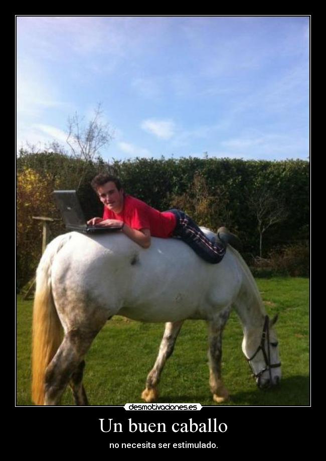 Un buen caballo - no necesita ser estimulado.