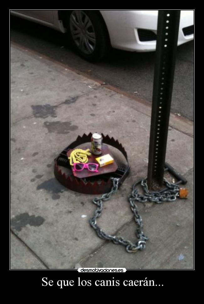 Se que los canis caerán... -