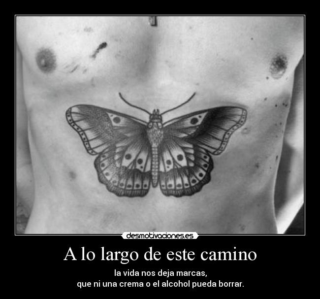 A lo largo de este camino -