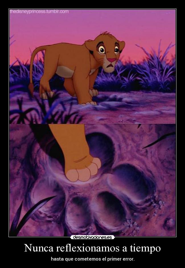 Nunca reflexionamos a tiempo - hasta que cometemos el primer error.