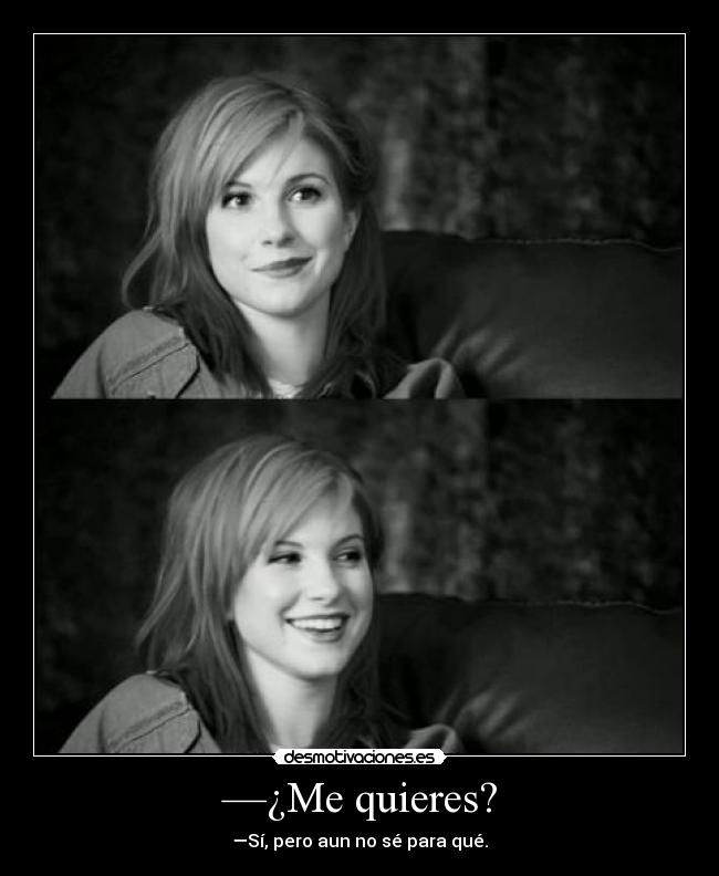 carteles willtay bitches sut hayley nobia eqizde desmotivaciones